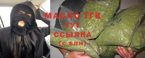 гашик Сатка