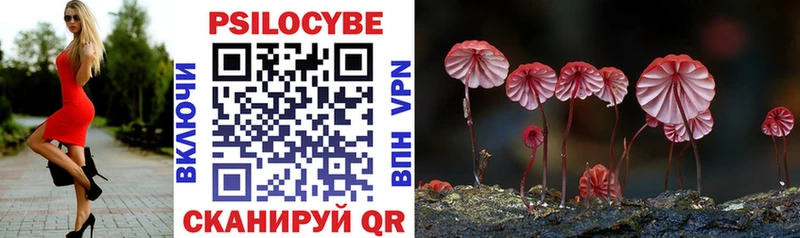 OMG ссылки  Нариманов  Галлюциногенные грибы прущие грибы 